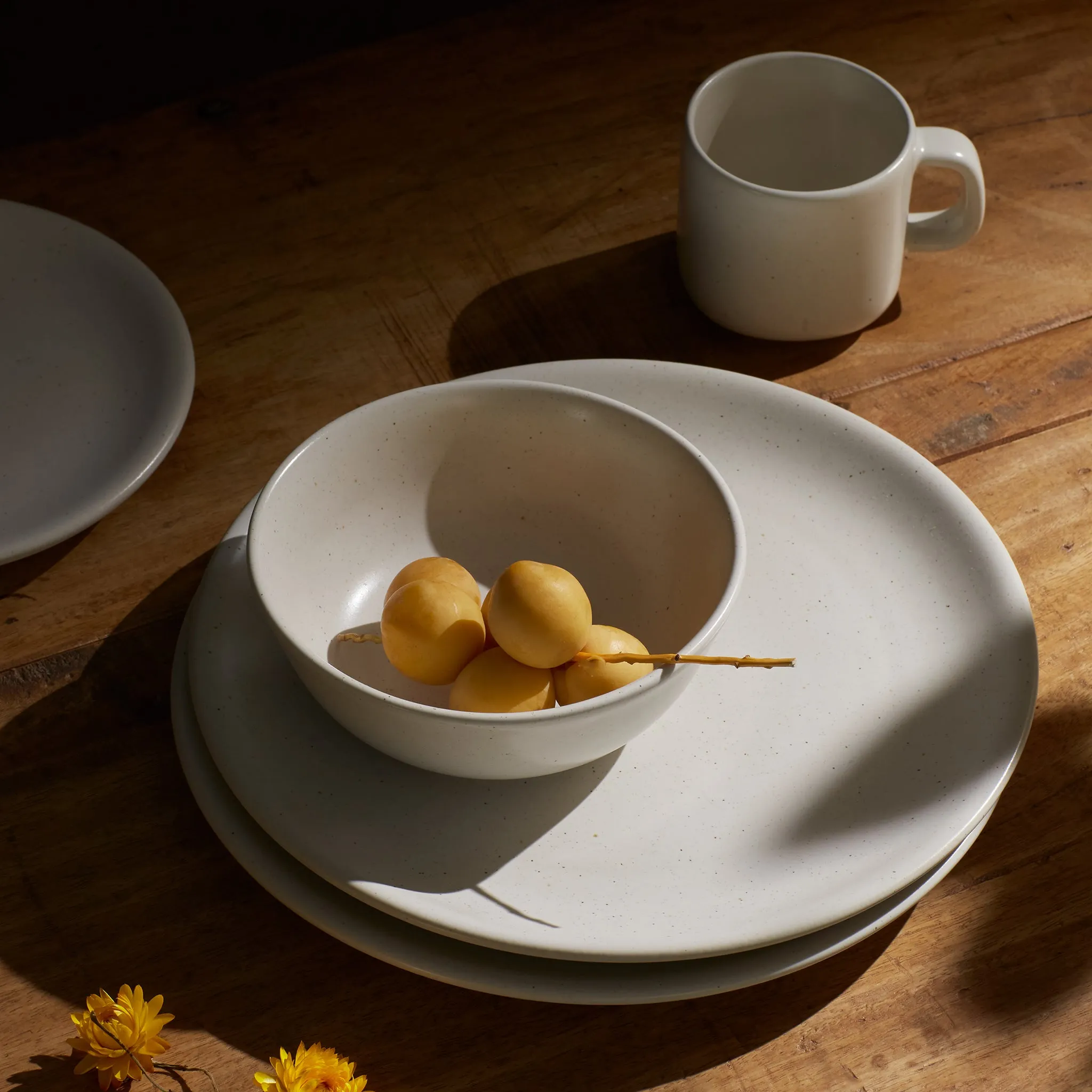 20 Piece Dinner Set
