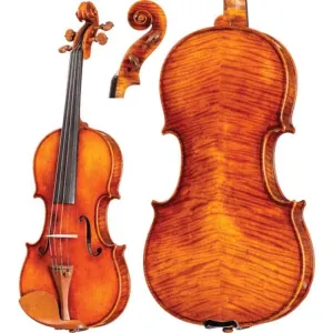 CS2900 Core Select Professional Violin with Case
