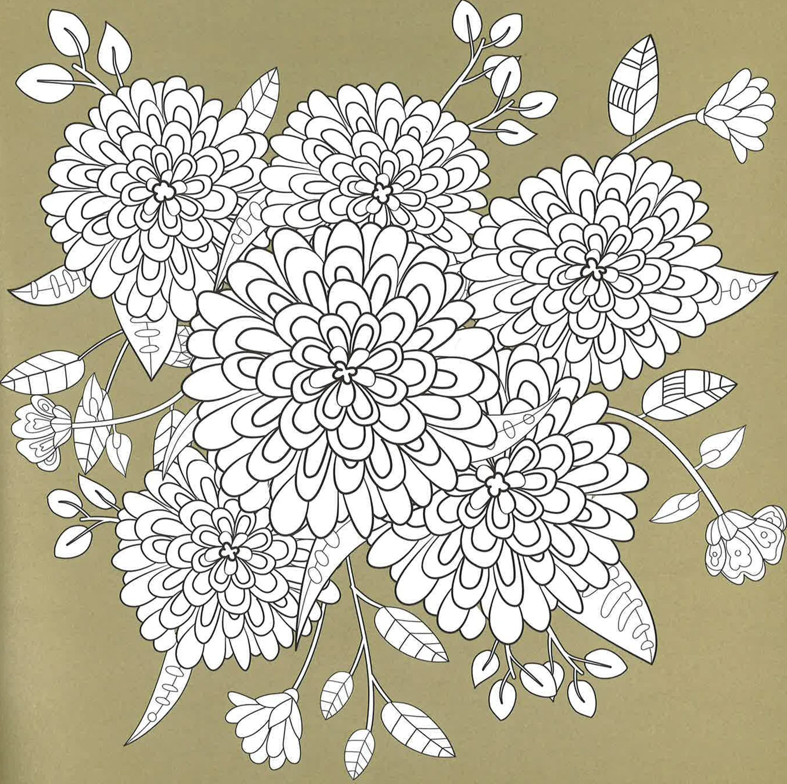 Exquisite Flowers: Color. Dream. Create. (Hb)