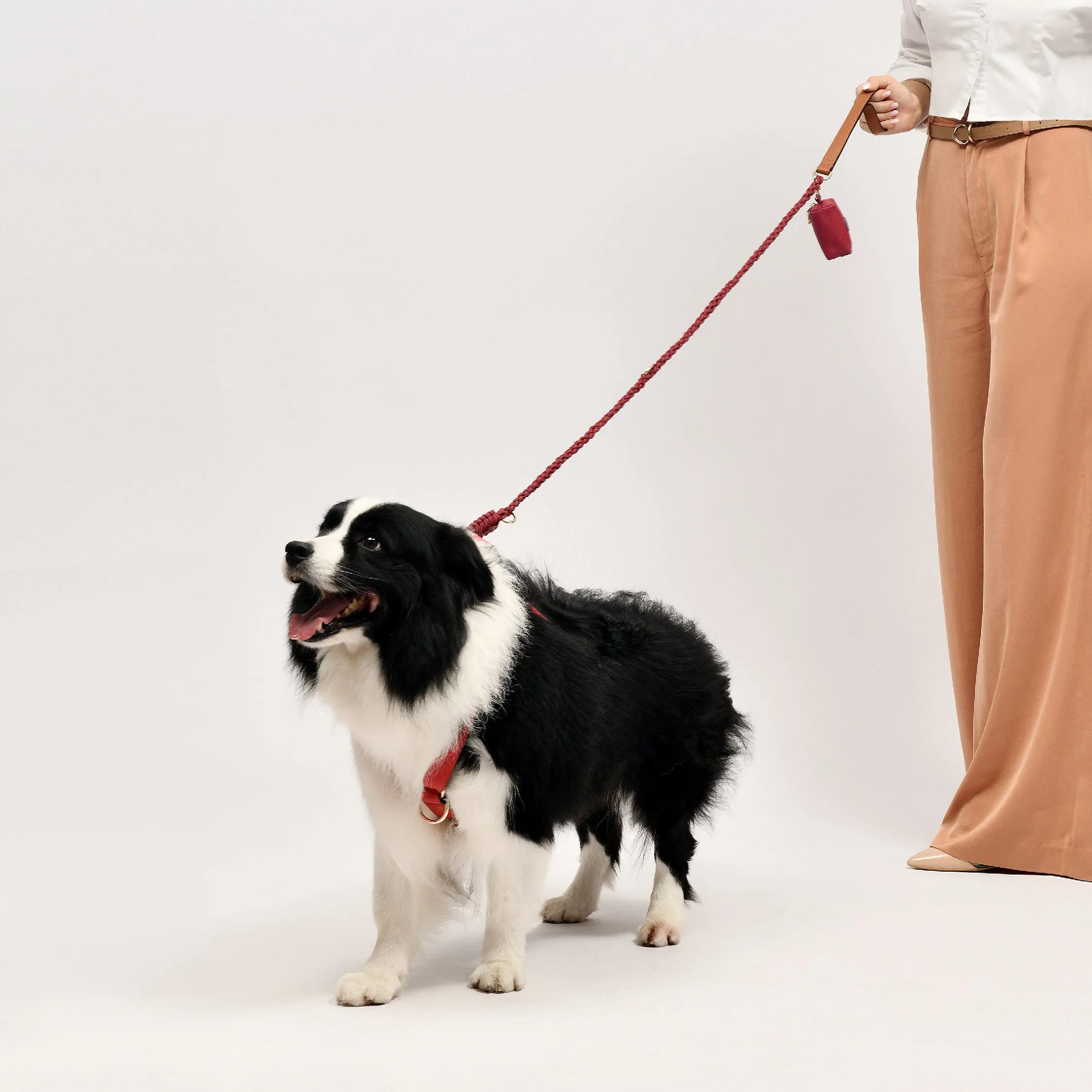 Exquisite Leather Dog Leash - Cognac