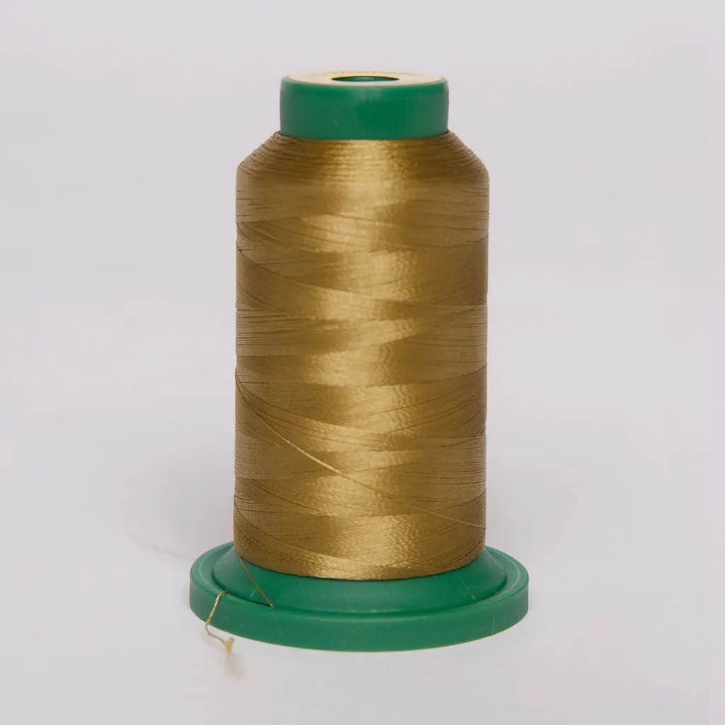Exquisite® Polyester Thread - 2519 Autumn Fern 1000 Meters