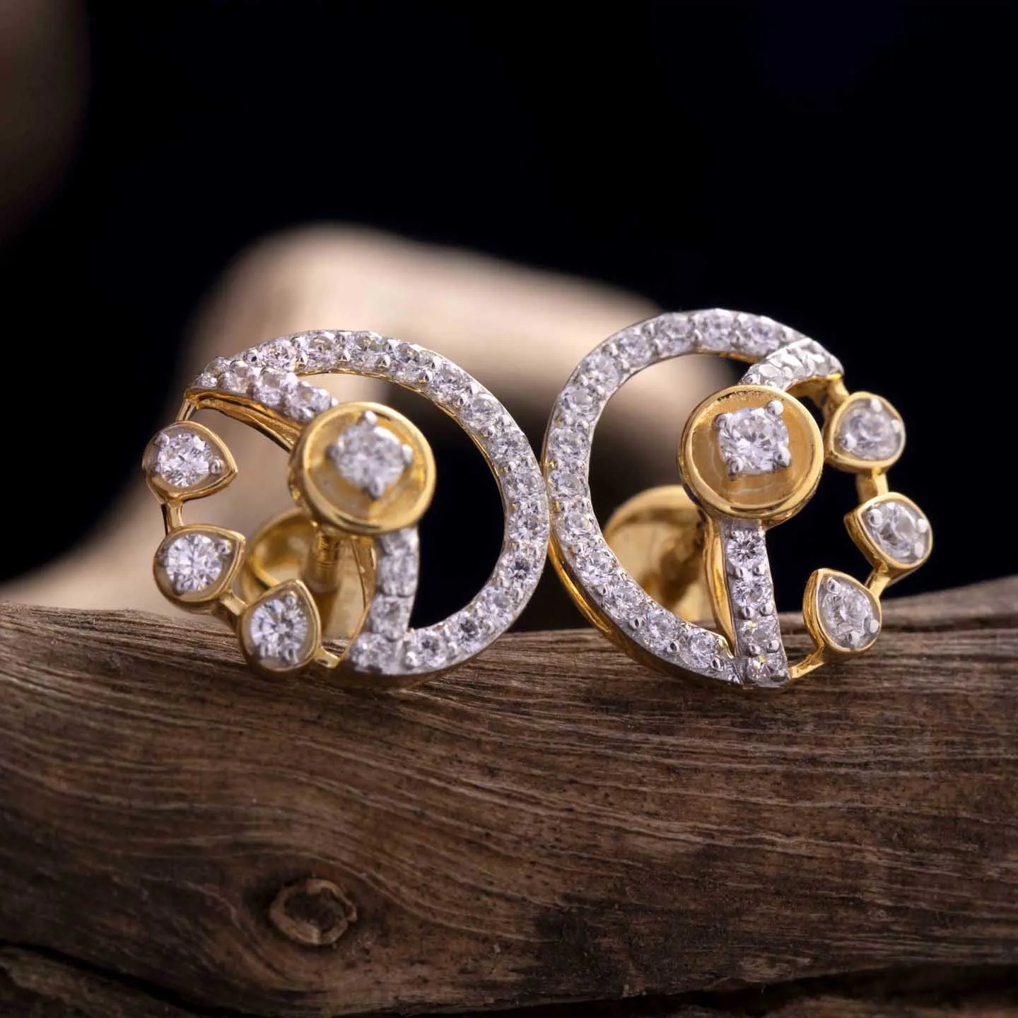 Exquisite Silver Stud Earring