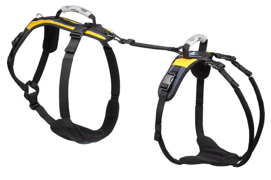 Extra Large Conventional Harness