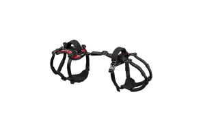 Extra Small Conventional Harness