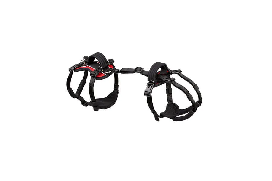 Extra Small Conventional Harness