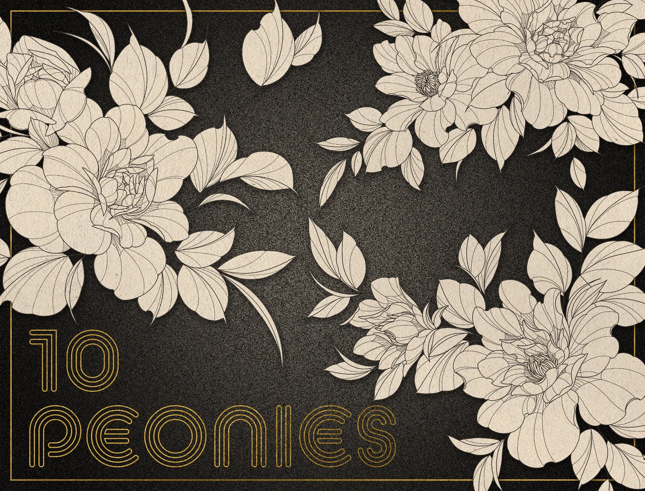 Fine Line Floral