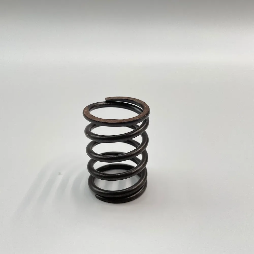 Kranzle Piston Spring | 14 MM