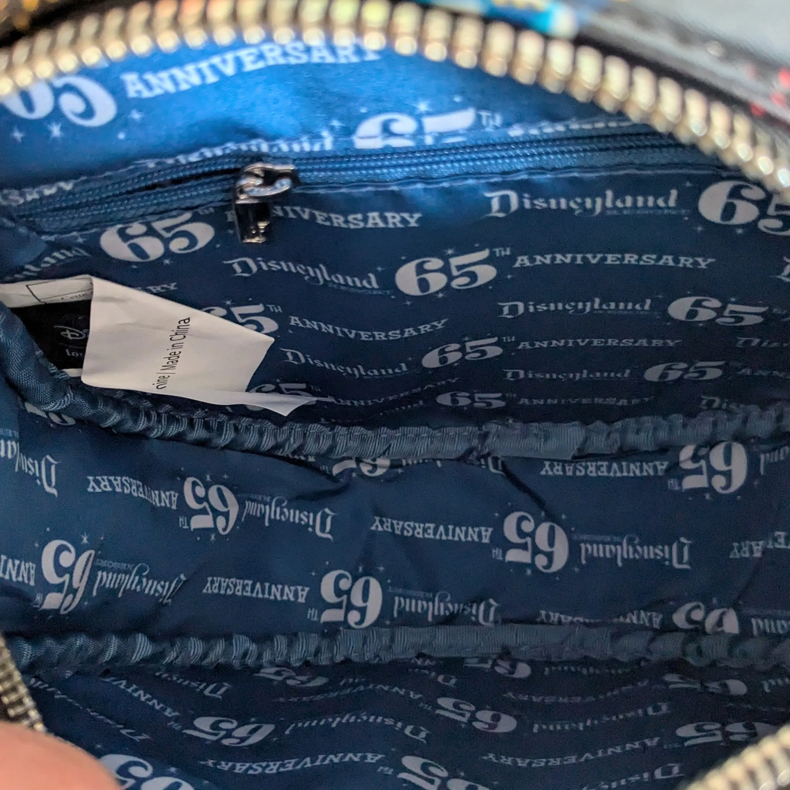 Loungefly Disney 65th Anniversary Crossbody Canteen Bag