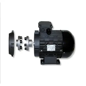 Ravel Electric Motor | Three Phase | 24 MM Hollow Shaft