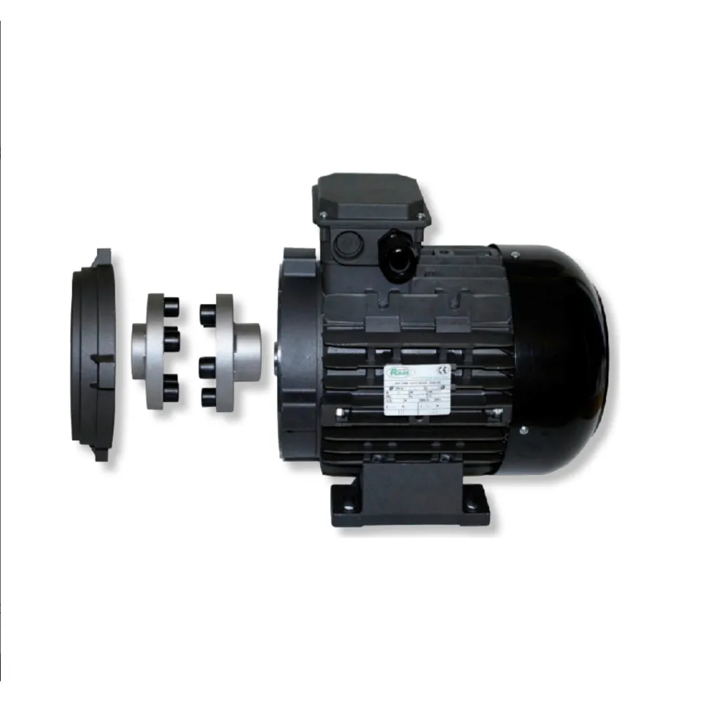 Ravel Electric Motor | Three Phase | 24 MM Hollow Shaft