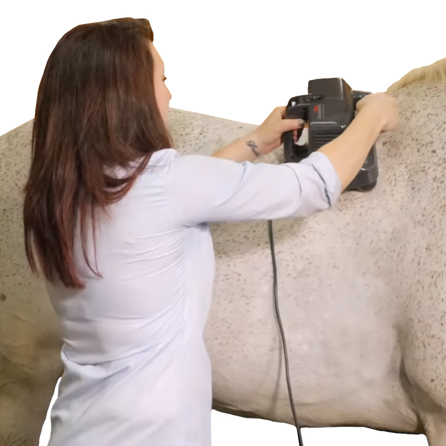 Thumper Equine Pro